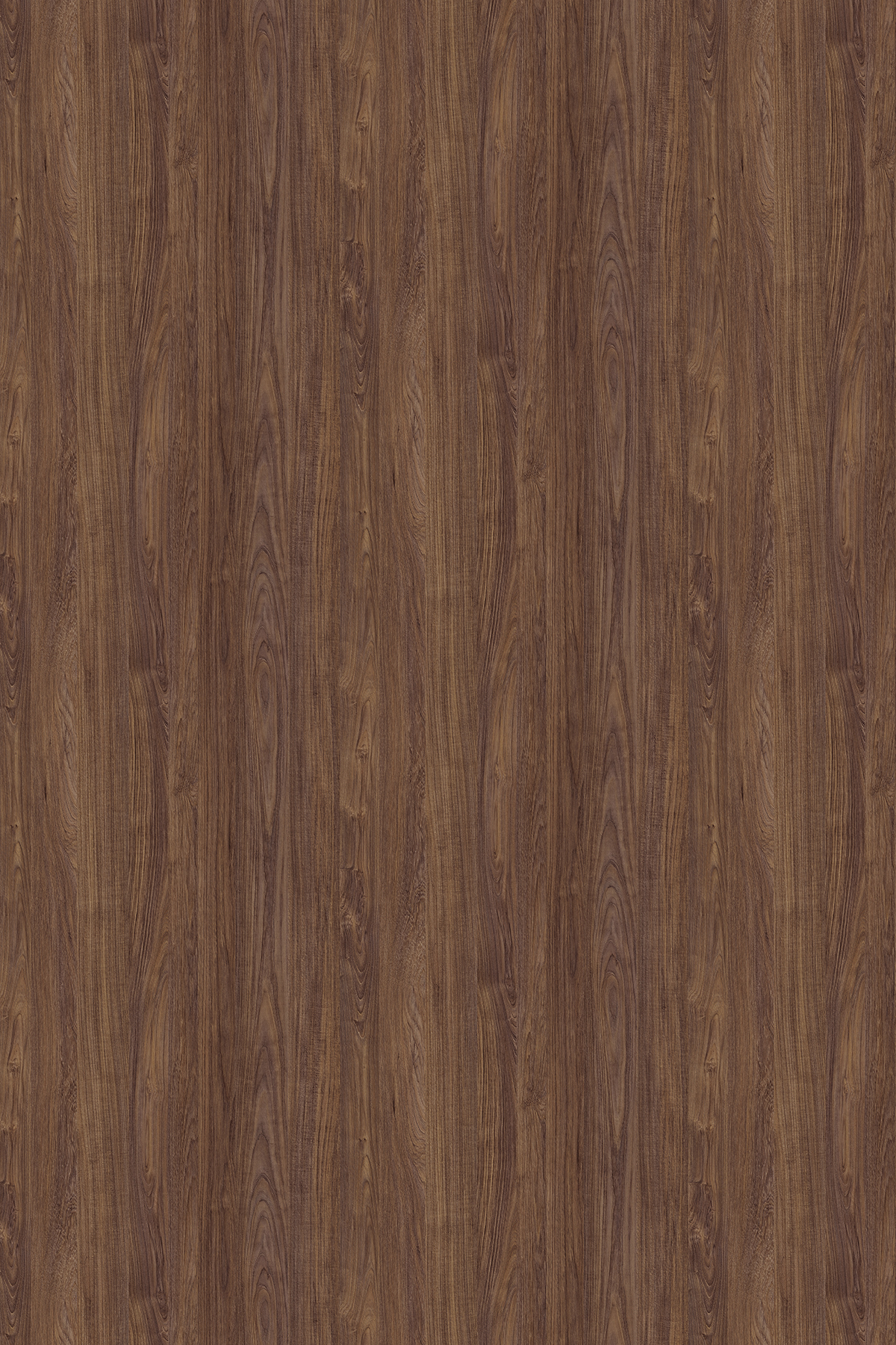 Морское дерево винтаж K015PW